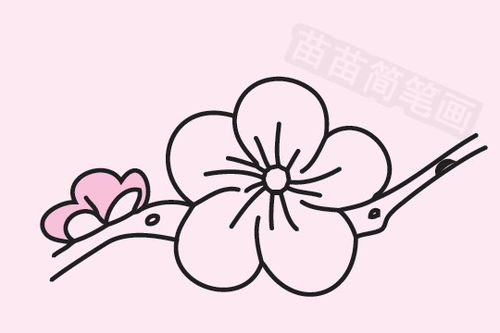 梅花图片大全简笔画 梅花图片大全简笔画--第1张