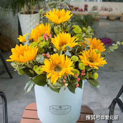 过生日送什么花寓意最好 过生日送什么花寓意最好--第1张
