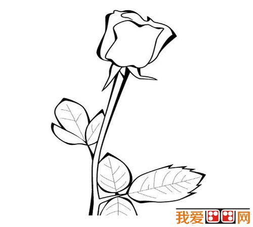 玫瑰花图片唯美简笔画 玫瑰花图片唯美简笔画--第1张