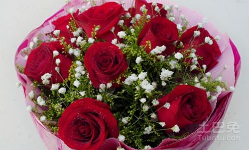 19朵玫瑰花束多少钱 揭秘，19朵玫瑰花束的价格究竟是多少？--第1张