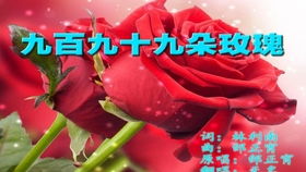 九百九十九朵玫瑰歌词 ，九百九十九朵玫瑰歌词--第1张