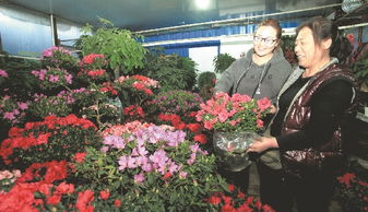 鲜花从哪里批发 鲜花从哪里批发，市场分析、选择技巧及注意事项--第1张