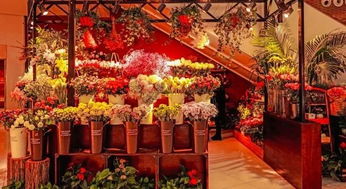 济南花店街 济南花店街，浪漫与艺术的交织--第1张