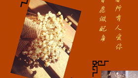 满天星的花语甘愿做配角 满天星的花语，甘愿做配角--第1张
