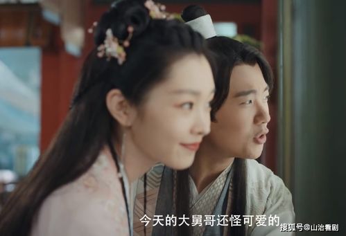 小妹子赘婿大结局免费观看_小赘婿什么意思--第1张