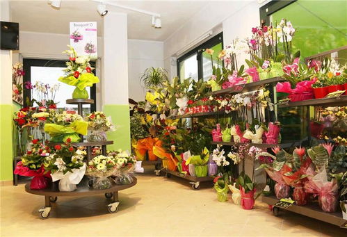 酷木鲜花店加盟 酷木鲜花店加盟，打造属于自己的鲜花品牌--第1张
