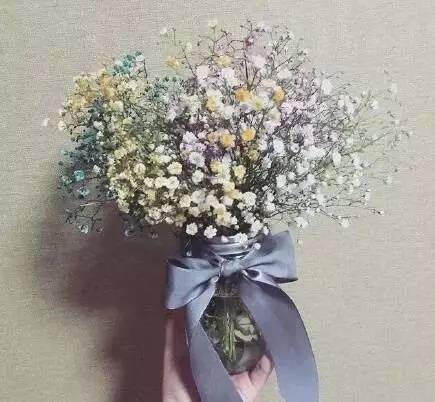 满天星鲜花花语 满天星鲜花，满天繁星的花语与情感寄托--第1张