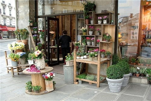 开一家花店要多少钱 开一家花店要多少钱--第1张
