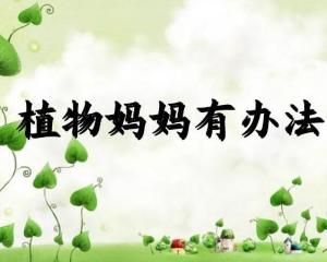 植物妈妈有哪些办法 植物妈妈有哪些办法--第1张