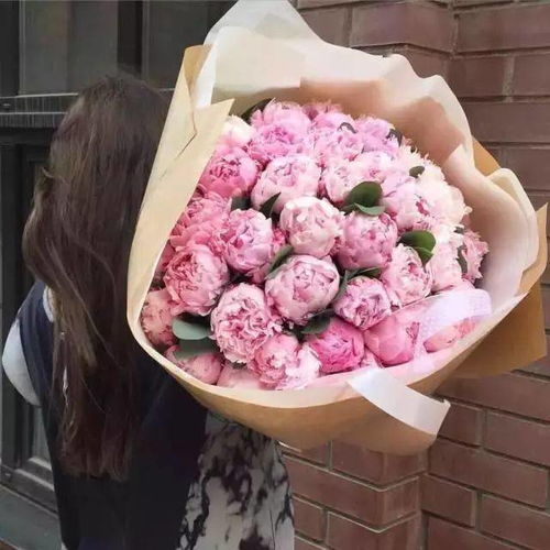 看病人送花有什么讲究 看病人送花有什么讲究--第1张