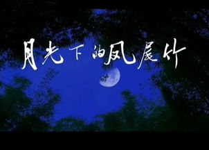 月光下的凤尾竹 月光下的凤尾竹--第1张