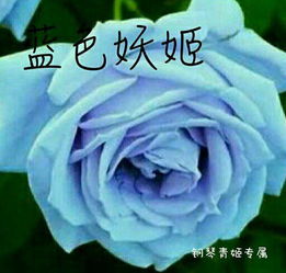 蓝色妖姬图片人物男 蓝色妖姬，一位魅力四溢的男性人物图片--第1张