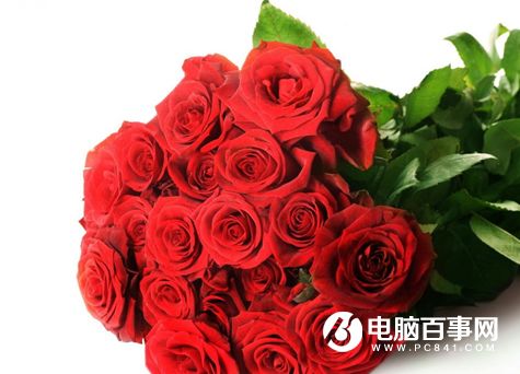 教师节送什么花寓意好 教师节送什么花寓意好--第1张