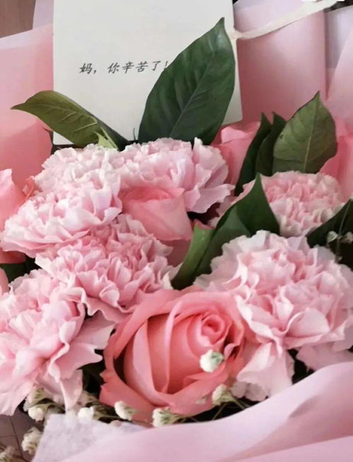 送父母的花束有什么花 送父母的花束有什么花--第1张