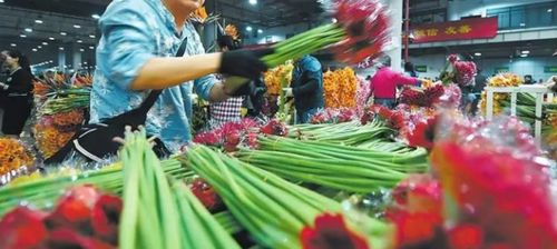 鲜花一手货源在哪里 鲜花一手货源在哪里--第1张