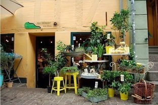 花店 公司 花店与公司，一个美丽的邂逅--第1张