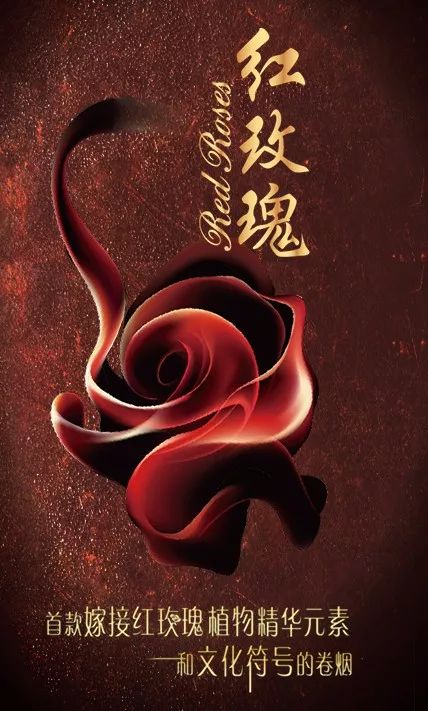 送玫瑰花的寓意 玫瑰花的浪漫寓意——永恒的爱情与情感表达--第1张