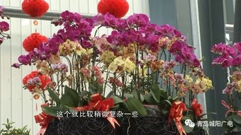 世界三大花卉市场 世界三大花卉市场，花卉交易的繁华之地--第1张