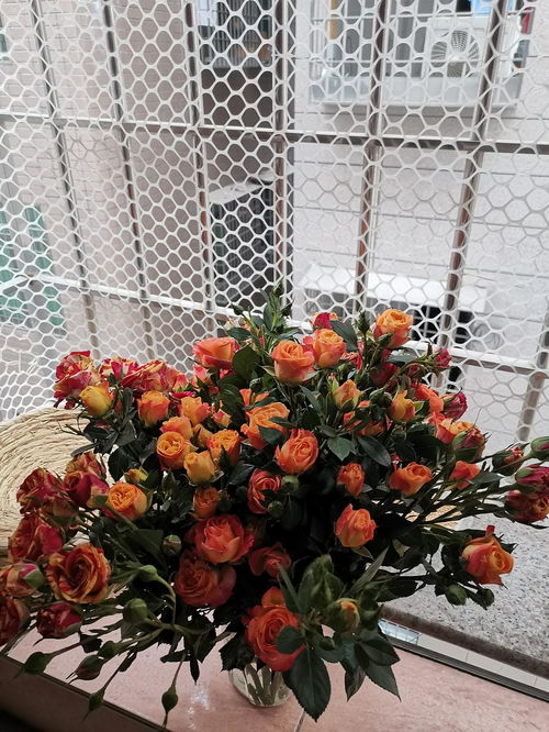鲜花直播话术 鲜花直播话术，让你的直播间充满生机与活力--第1张