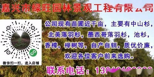 今日免费的苗木求购信息 今日免费的苗木求购信息--第1张