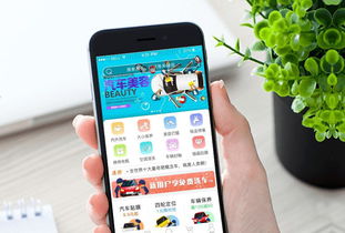 365园林网手机版 365园林网手机版——您的园林行业必备工具--第1张