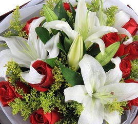 美团鲜花配送 美团鲜花配送，让每一束鲜花都能准时送达--第1张