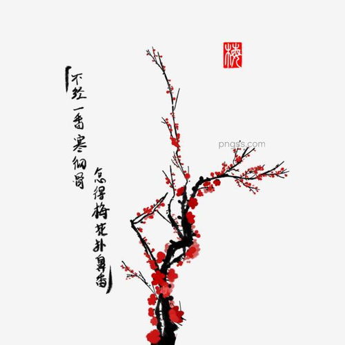 梅花图片大全大图唯美 梅花图片大全大图唯美，冬日里的美丽与坚韧--第1张