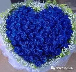 蓝色妖姬的真实故事 蓝色妖姬的真实故事--第1张