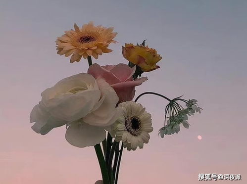 婚外情人一般送什么花 婚外情人一般送什么花--第1张