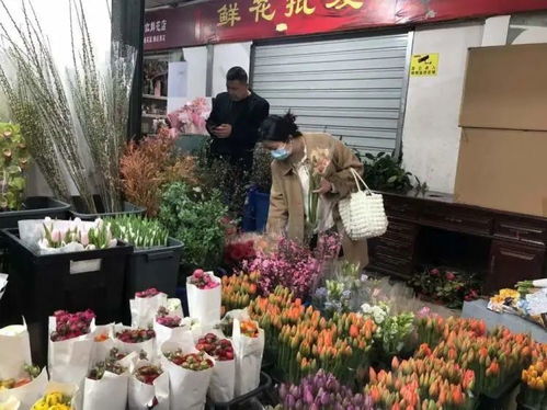 花卉市场批发各种花价格 花卉市场批发各种花价格--第1张