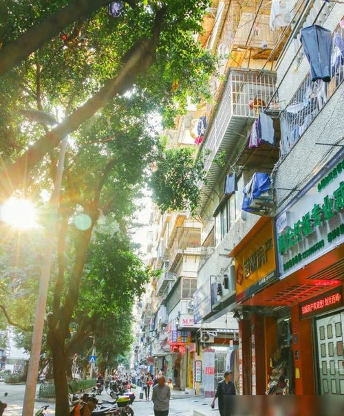 福州鲜花一条街 福州鲜花一条街--第1张