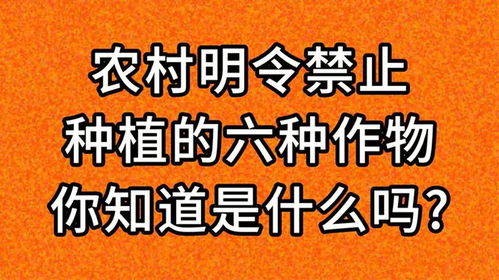 中国明令禁止种植面包树 中国明令禁止种植面包树，环保与农业的冲突与妥协--第1张