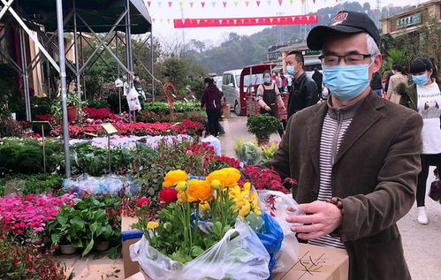 深圳鲜花批发市场在哪里批发 深圳鲜花批发市场在哪里批发--第1张