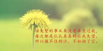 情人节经典佳句 情人节经典佳句--第1张
