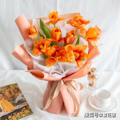 橙色郁金香的花语 橙色郁金香的花语--第1张