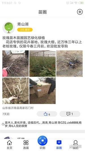 第一苗木站手机版 第一苗木站手机版——随时随地，轻松管理苗木--第1张