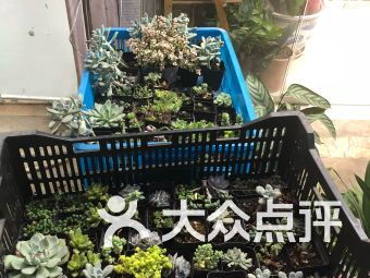 南京花店兼职 南京花店兼职--第1张
