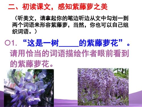 紫藤萝瀑布是几年级的课文 ，紫藤萝瀑布——初中语文经典篇目--第1张