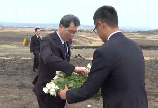 白玫瑰是祭奠死人的吗 白玫瑰是祭奠死人的吗--第1张