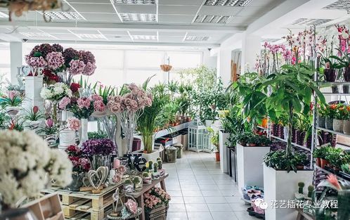 附近鲜花店位置在哪儿 附近鲜花店位置在哪儿--第1张