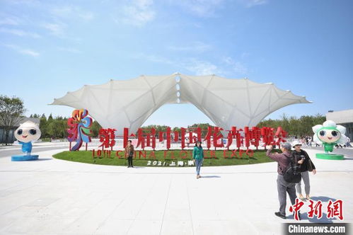 中国花卉博览会六馆 中国花卉博览会六馆，花卉艺术的璀璨展示--第1张