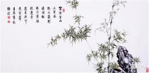 月桂树在中国的意义 月桂树在中国文化中的意义--第1张