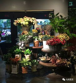 花店的鲜花在哪里进货 花店的鲜花在哪里进货--第1张