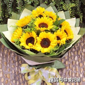 给父亲送花应该送什么花 给父亲送花应该送什么花--第1张