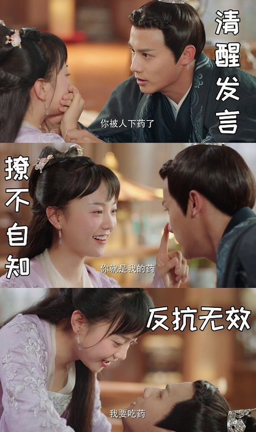 热播短剧和离后我被三个皇兄宠翻天在线免费观看全集 热播短剧离后我被三个皇兄宠翻天在线免费观看全集--第1张