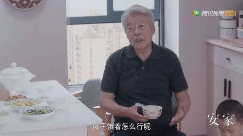 热播短剧陈博的幸福生活在线免费观看全集 热播短剧陈博的幸福生活在线免费观看全集--第1张