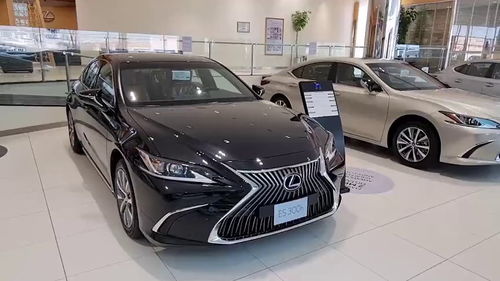 es300h雷克萨斯2021款_es300h雷克萨斯2020款--第1张