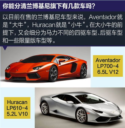 兰博基尼详细介绍_兰博基尼所有车型介绍--第1张