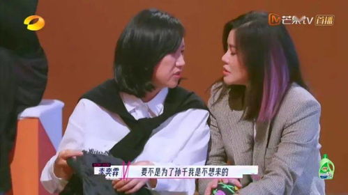 热播短剧藏起孕肚离职霍总急疯了郑晨雨在线免费观看全集 ，热播短剧，郑晨雨离职事件引爆全网，霍总急疯了！在线免费观看全集--第1张