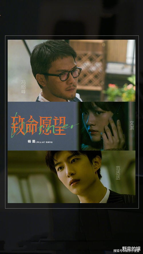  热播短剧双生迷雾在线免费观看全集--第1张